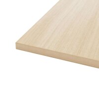 Bisley Tischplatte DT251606, 25 x 1600 x 600mm (HxBxT)