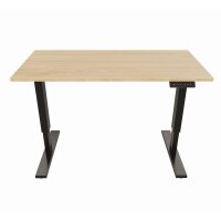 Bisley E-StarterTech Platte & Gestell...